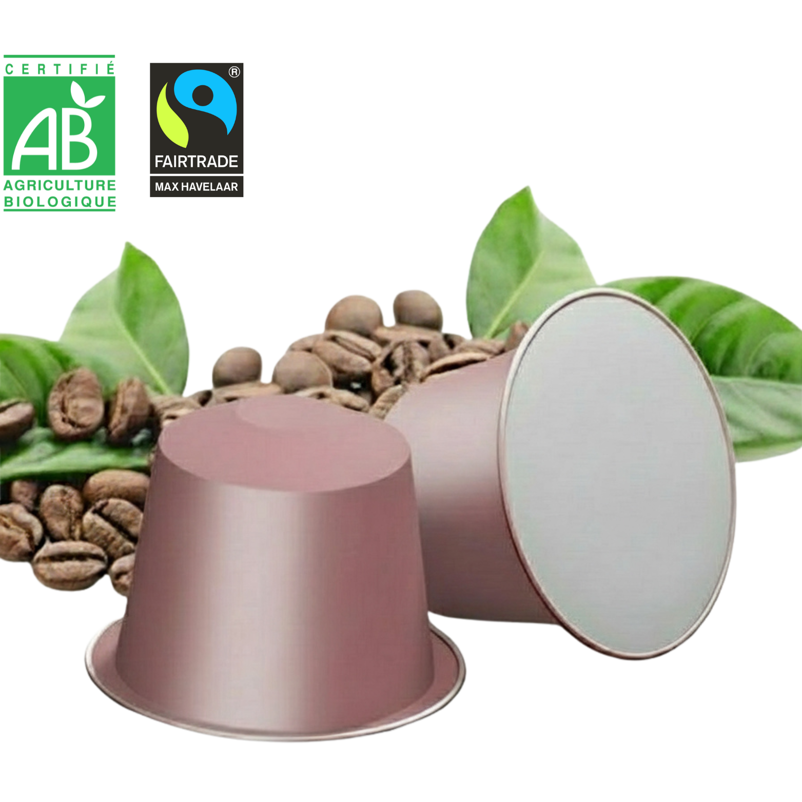 Capsules Honduras - Bio Max Havelaar