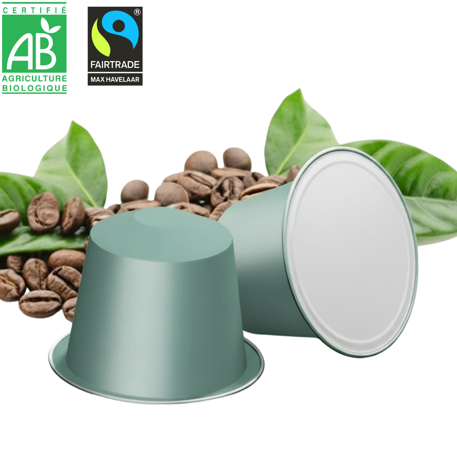 Capsules Pérou - Bio Max Havelaar